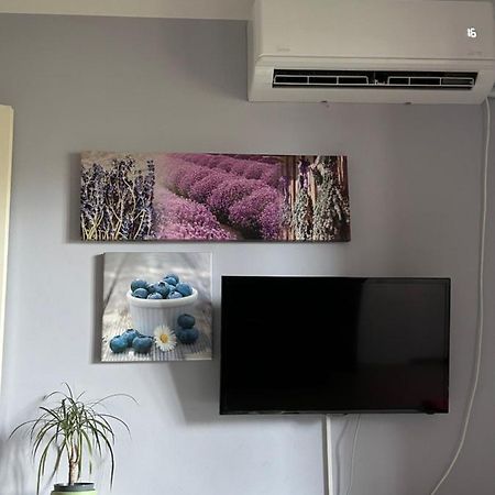 Kreation Rainbow Apartman Kolozsvár Kültér fotó